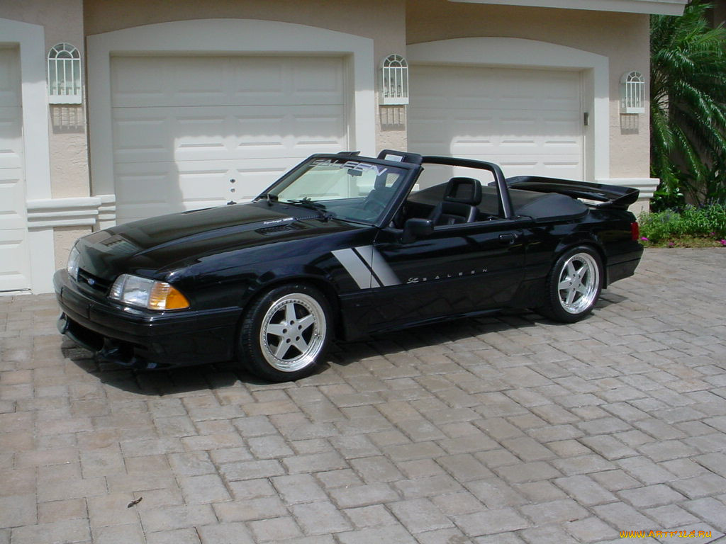 , mustang